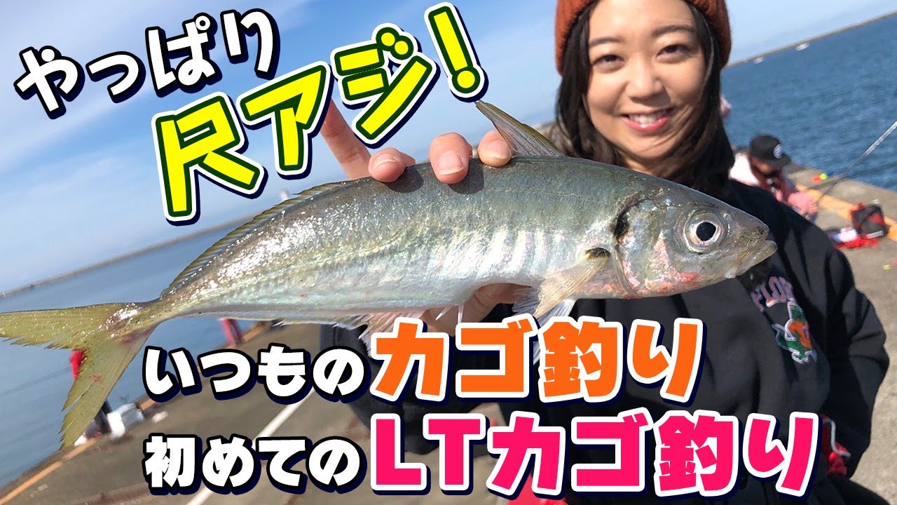 GO!GO!九ちゃんフィッシング #502　「カゴ釣りで狙う日本海の大アジ！ 直江津港第3東防波堤でカゴ釣り入門」