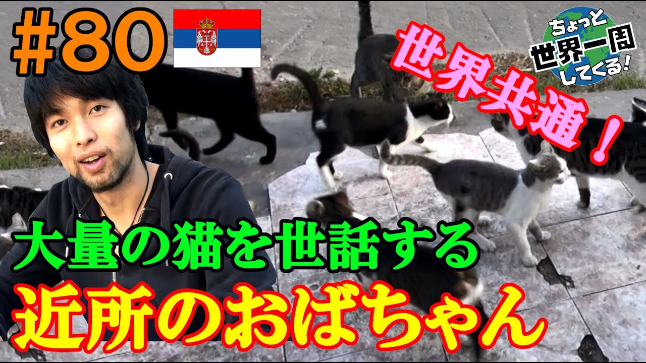#80【猫２１匹】セルビアに猫を世話する優しいおばちゃんがいた（ベオグラード / セルビア）世界一周 2011-2014