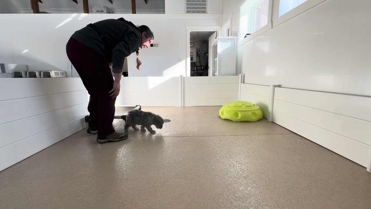 Maizey Training Session 01/20