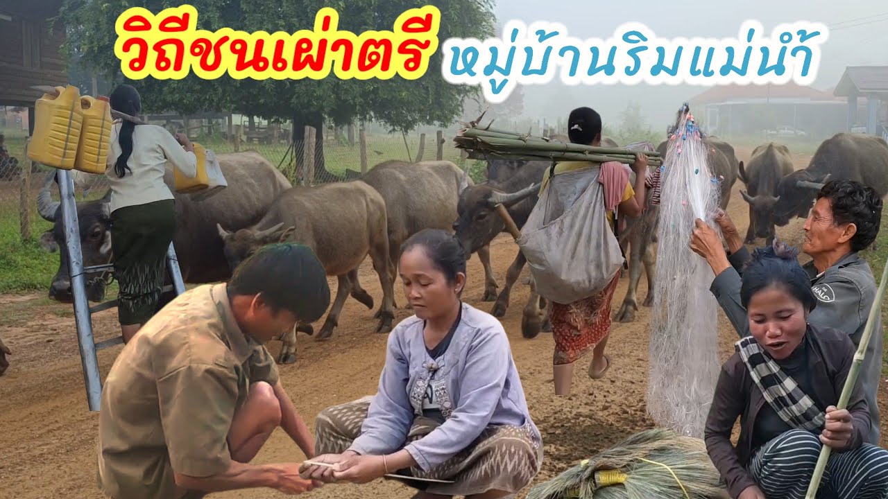 Ep76: เดินทางเข้าชมหมู่บ้าน สะแกง หมู่บ้านกลางป่าภูเขา และ อยู่ริมแม่น้ำกอก #วิถีความเป็นดั้งเดิม