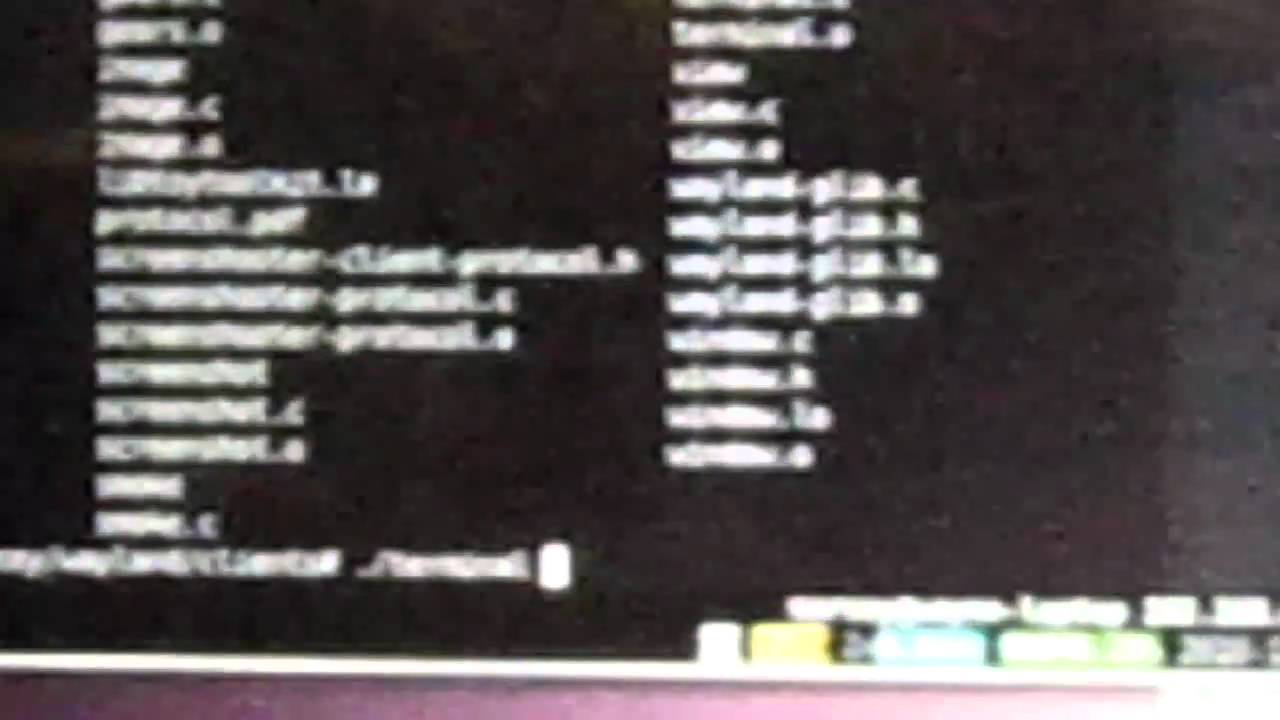 Wayland Display Server