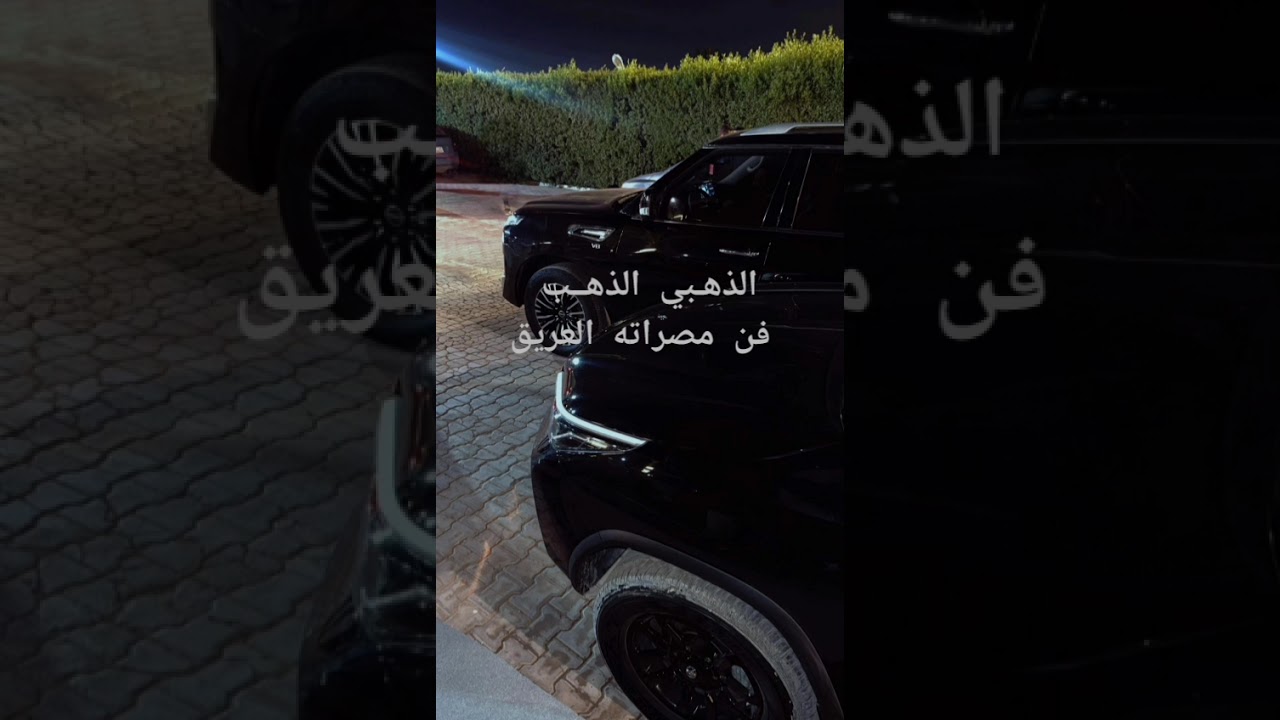 فن مطريشي جديد 5 عادل و بدر