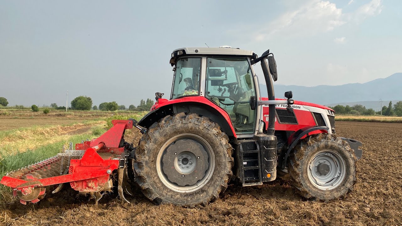 Massey Ferguson 6s ile mısır yeri hazırlığı