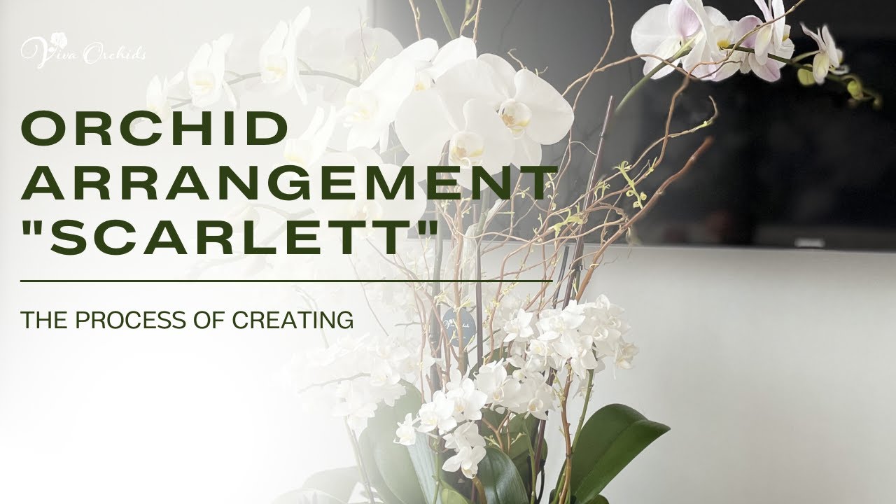 The Process of Creating an Orchid Arrangement 