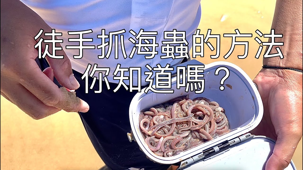 用手抓海蟲技巧,灘釣沙梭,赤翅仔,幽面仔,在澳洲海鲜靠自己, 想吃魚就到海邊走一趟