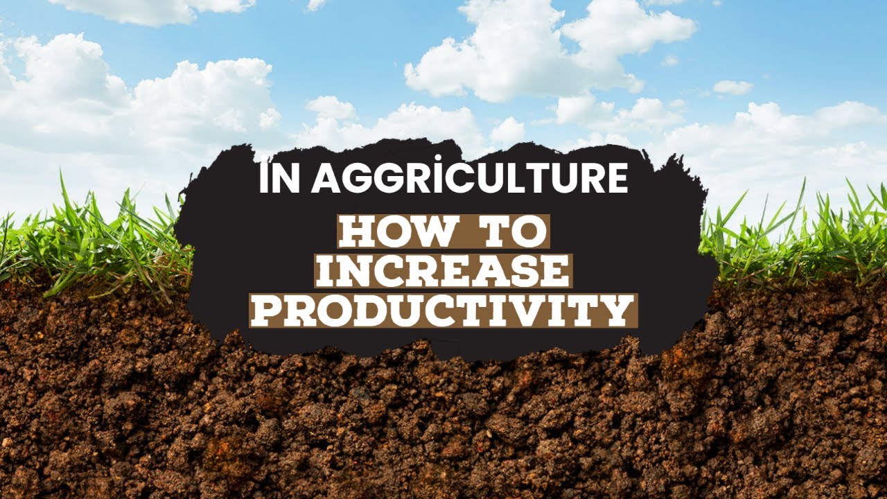 How to increase productivity in agriculture?