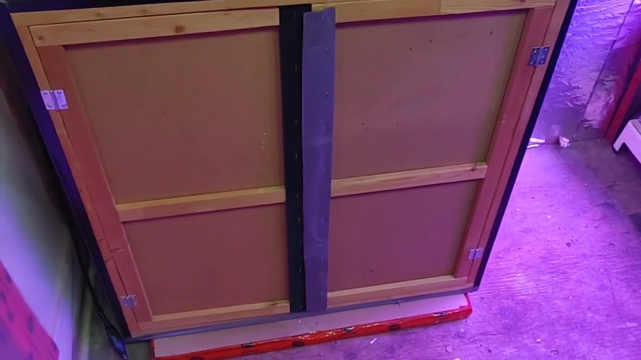 Dr Greenthumb -  Grape Gorilla Autoflower - week 9 @drgreenthumb6606