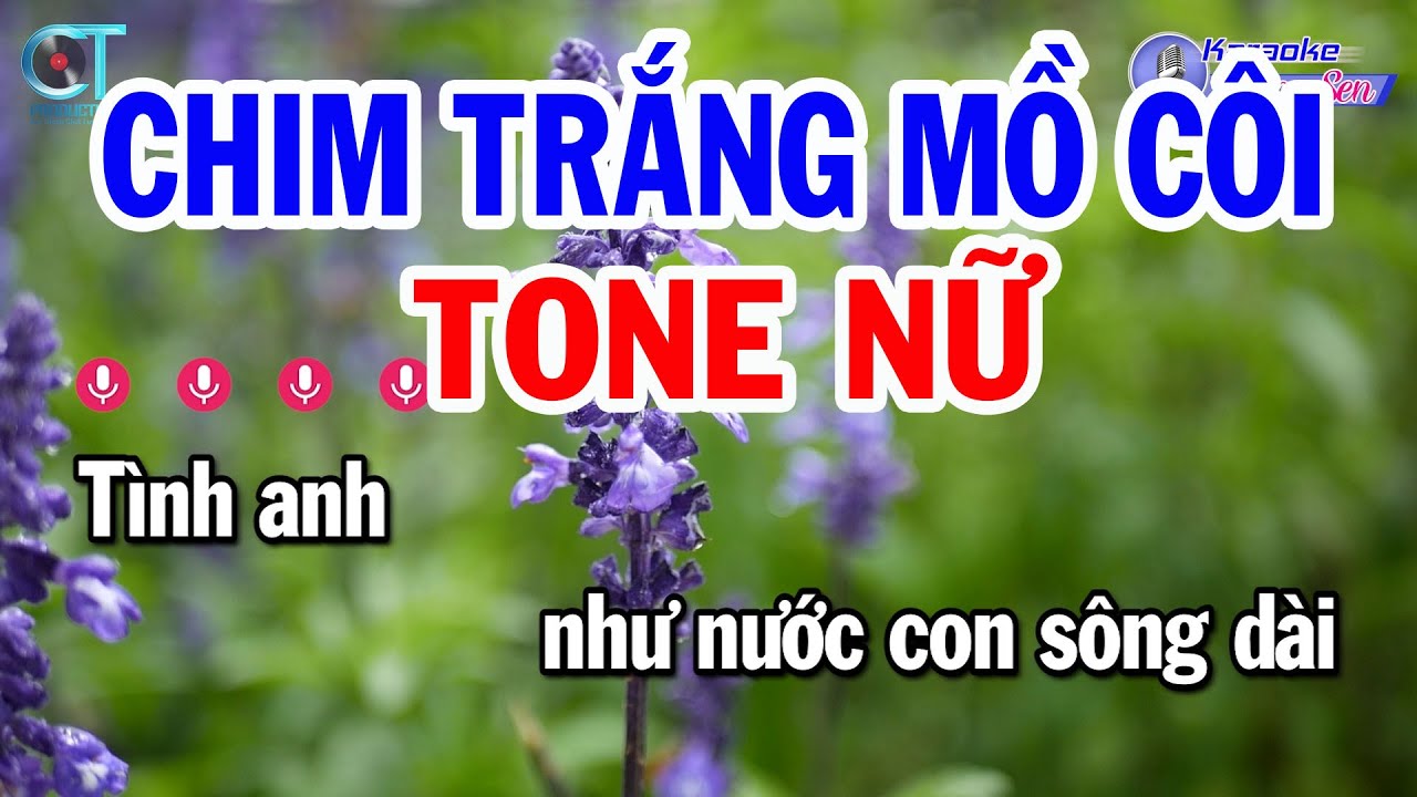 Karaoke Chim Trắng Mồ Côi Tone Nữ ( Em ) Nhạc Sống Mới Nhất || Karaoke Đồng Sen