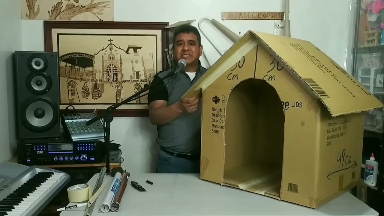Cómo Hacer Casita De Cartón Para Perritos
