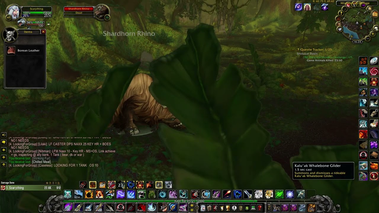 The Great Hunter's Challenge (WOW WOTLK quest)