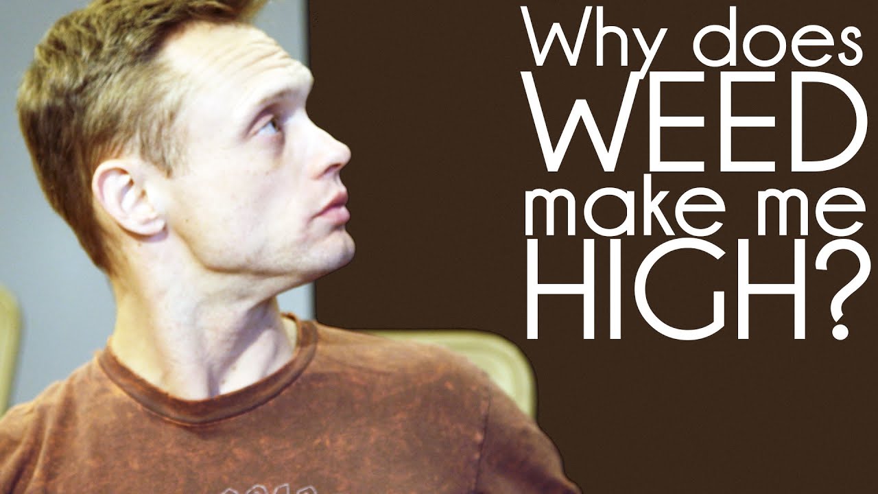 Why does weed make me high? Learn how marijuana, THC and cannabinoids work.