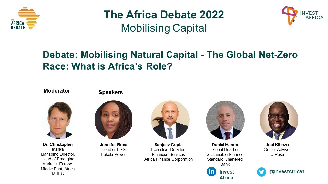 Mobilising Natural Capital - The Global Net-Zero Race: What is Africa's Role?