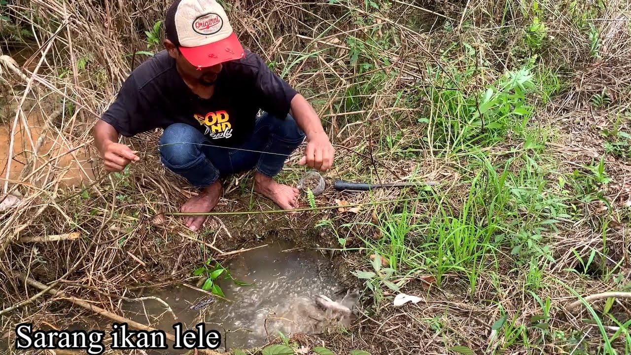 Tak disangka tempat seperti ini banyak ikan nya mancing lele lembat