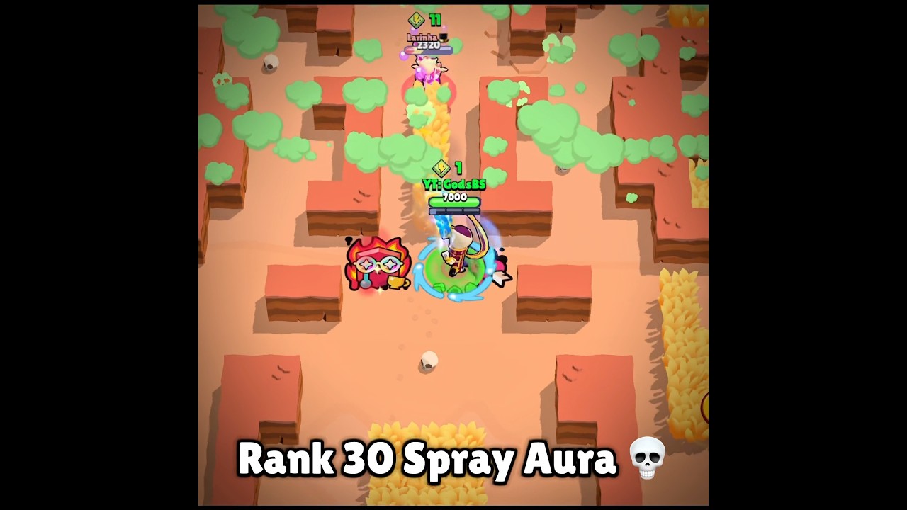 Rank 30 Spray Aura 🥵