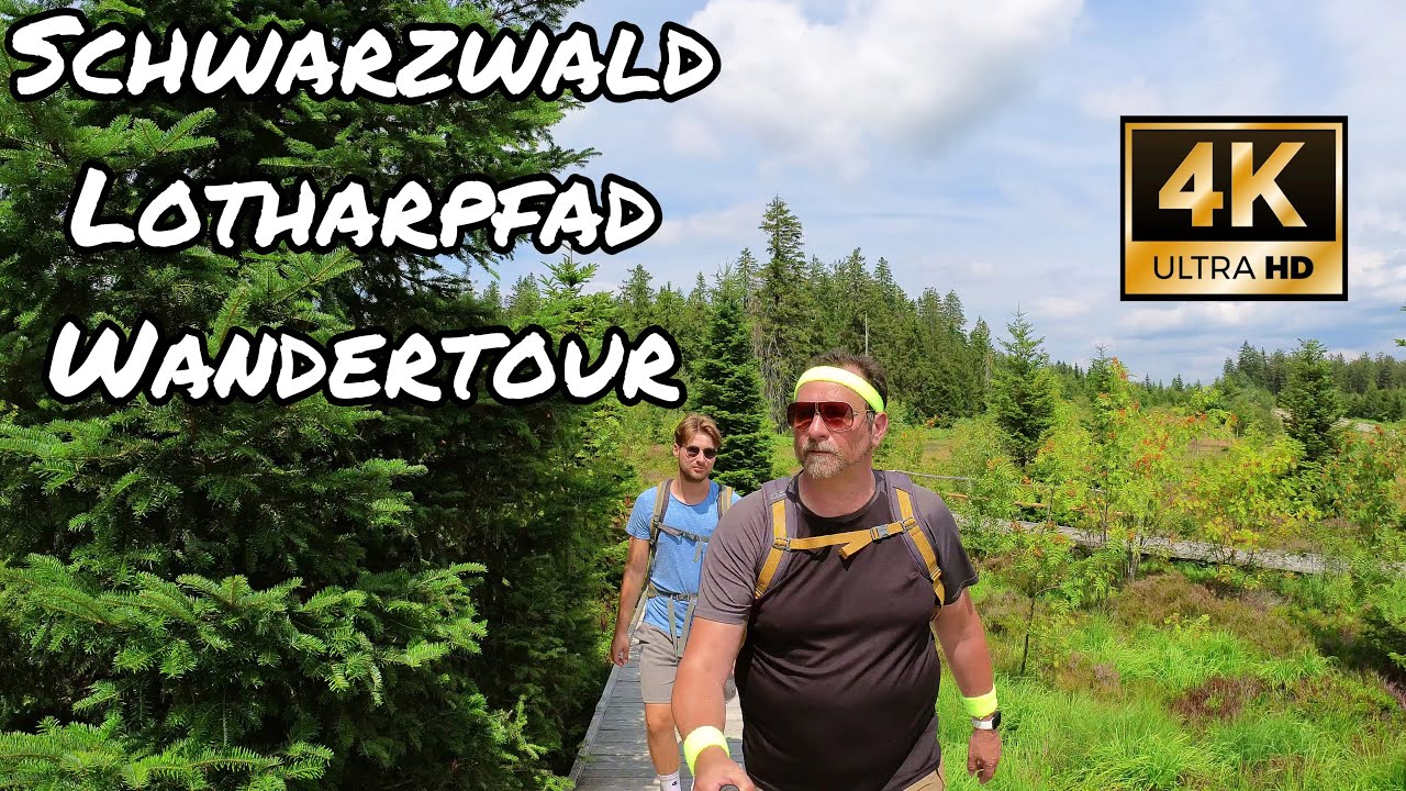 Lotharpfad | Schwarzwald | Wanderung bei Baiersbronn