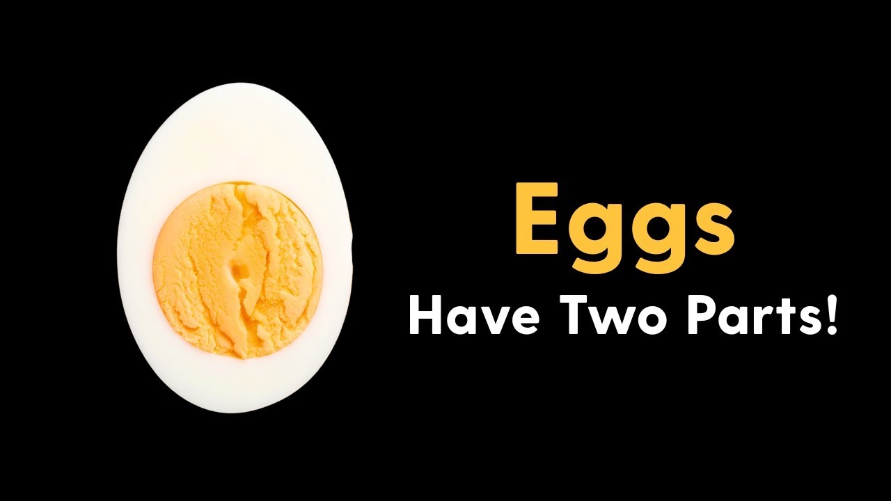 Яйца состоят из двух частей! | Многосенсорное открытие в мире продуктов питания для раннего развития