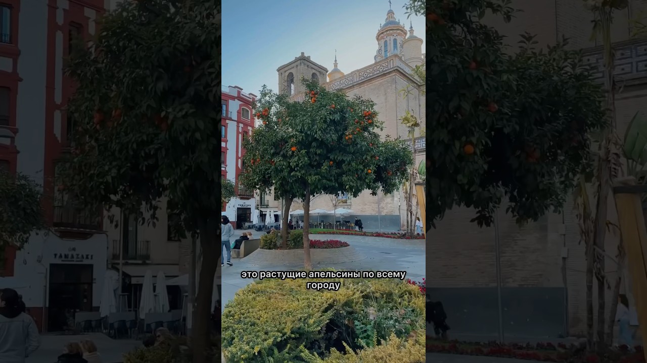Второй день в Севилье🇪🇸