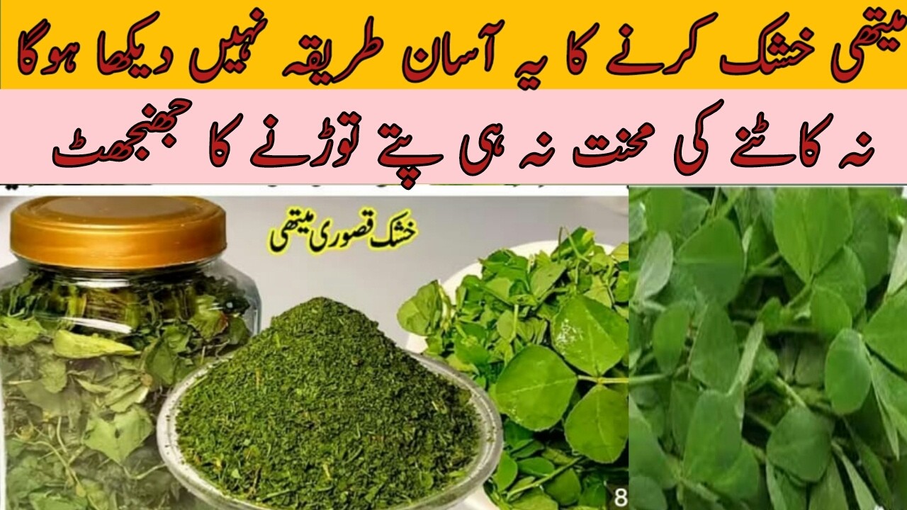 methi khush karne ka tarika | methi sukhane ka tarika | khushk methi dhoop mein @Perveenkpakwan