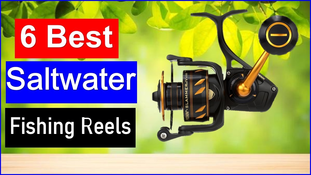 Top 6 Best Saltwater Fishing Reels in 2026 | Best Fishing Reels - Review