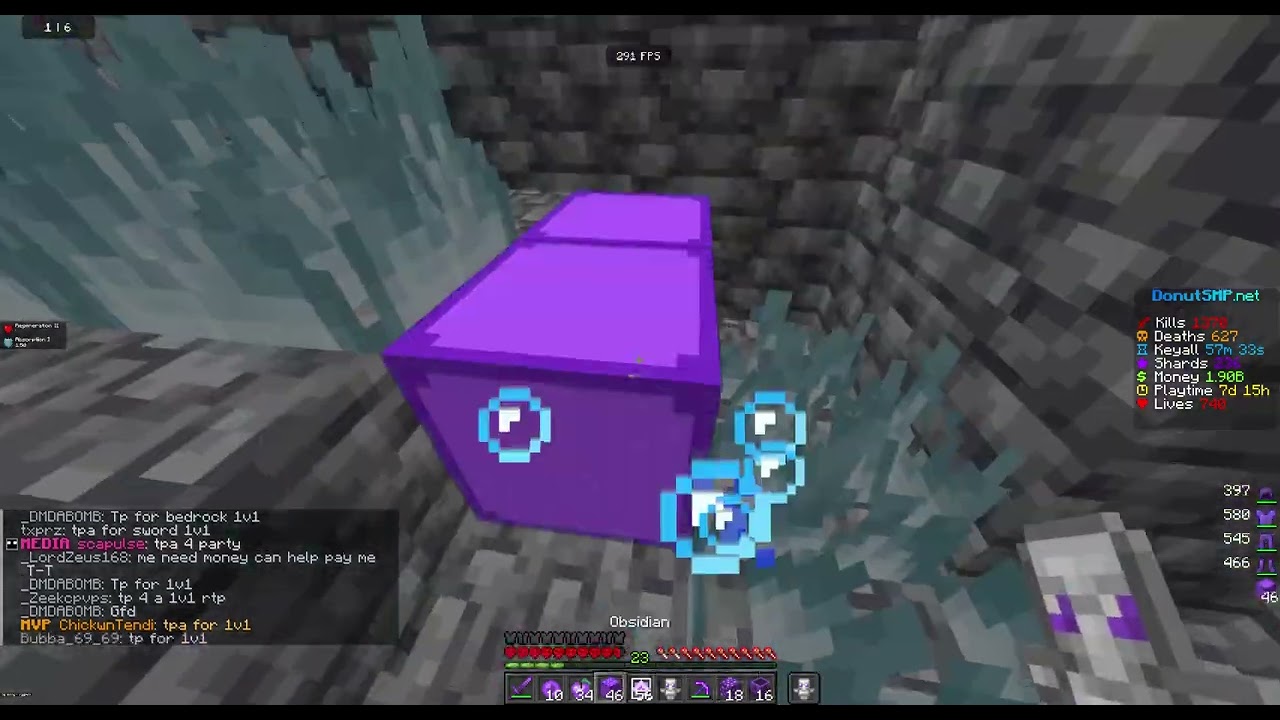 Killing a Media on the Donut SMP