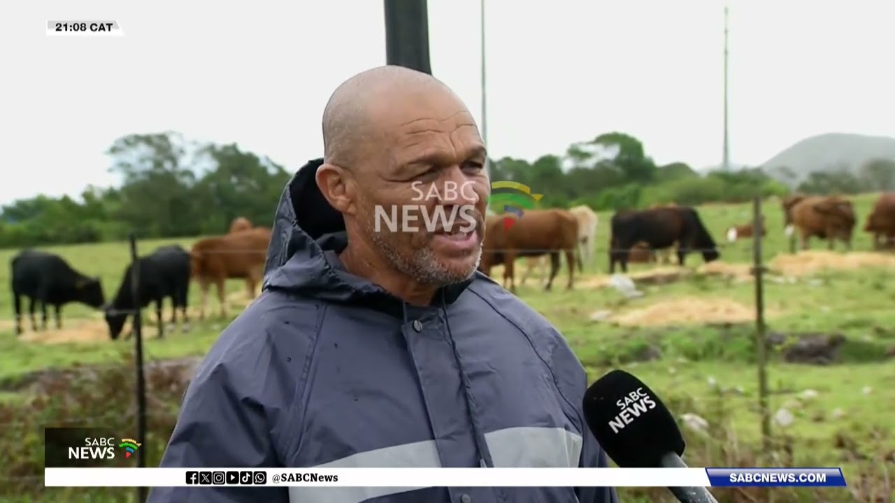 FMD Outbreak | Farmers call for urgent increase in vaccinations