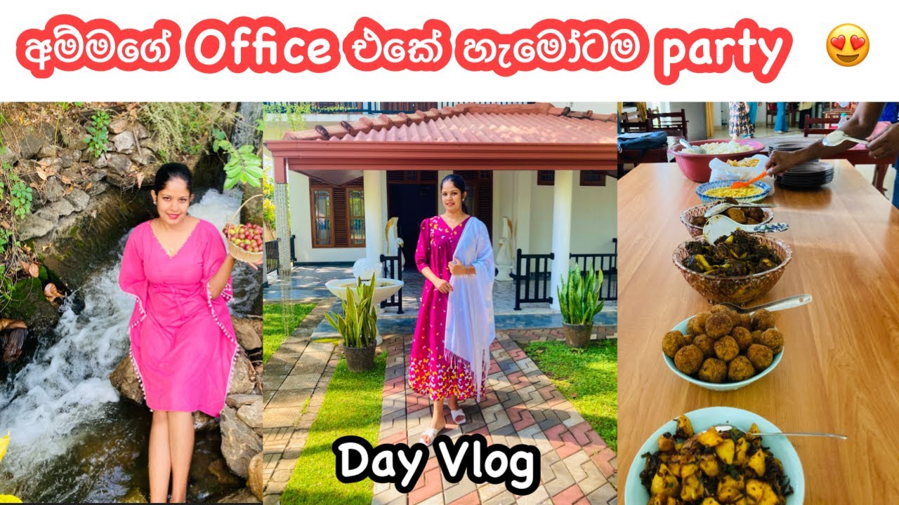 අවුරුදු ගානක් වැඩ කරපු Office එකේ අනිතිම දවස 😢 || Lunch Menu Ideas || Day Vlog 