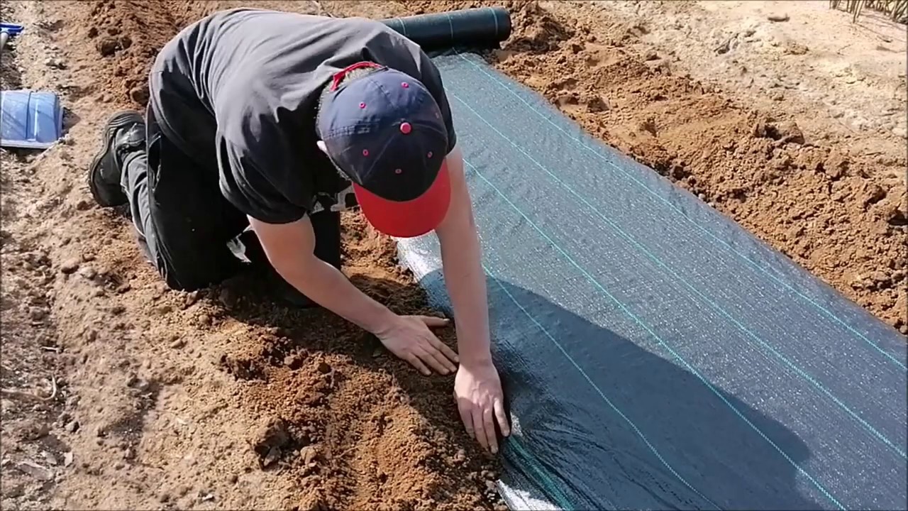 Rozkładanie agrotkaniny pod truskawki/ borówke amerykańską