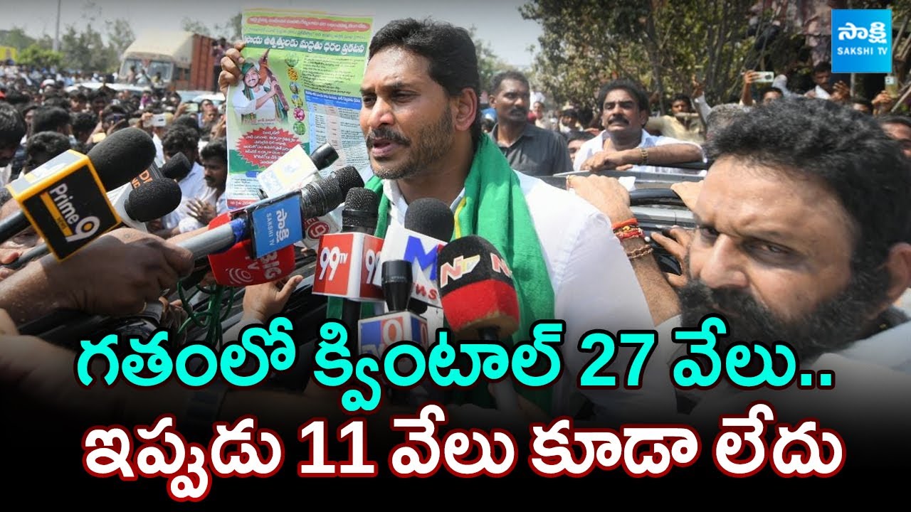 YS Jagan about Mirchi Farmers Problems | Guntur Mirchi Yard |@SakshiTV