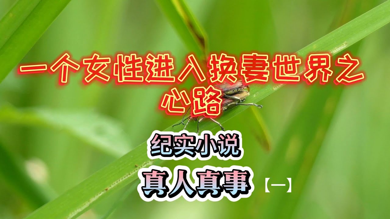 一位良家走入夫妻交友世界之心路历程