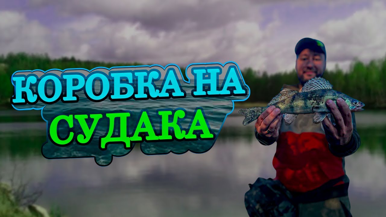 НА ЧТО ПОЙМАТЬ СУДАКА С БЕРЕГА?КАК собрать КОРОБКУ СИЛИКОНОВЫХ приманок для ловли КРУПНОЙ РЫБЫ!