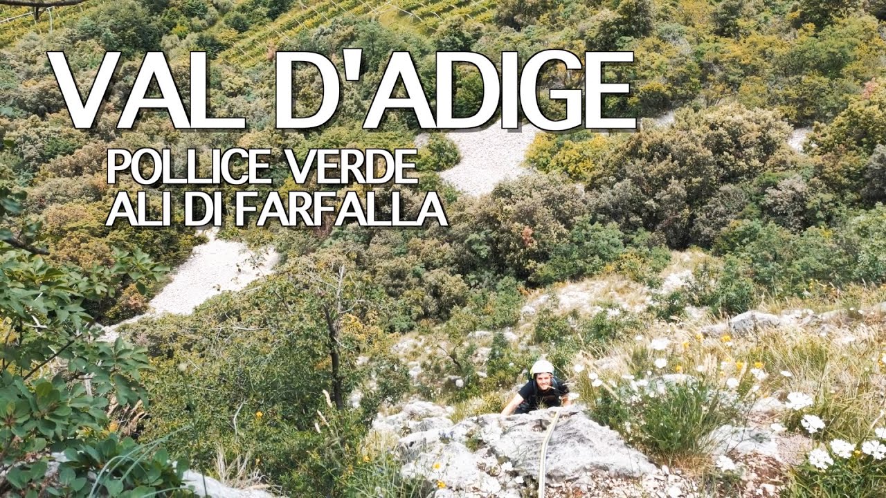 Arrampicare trad in Val D'adige • Tessari (VR)