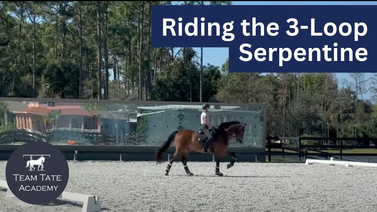 Riding the 3-Loop Canter/Counter Canter Serpentine with Benson