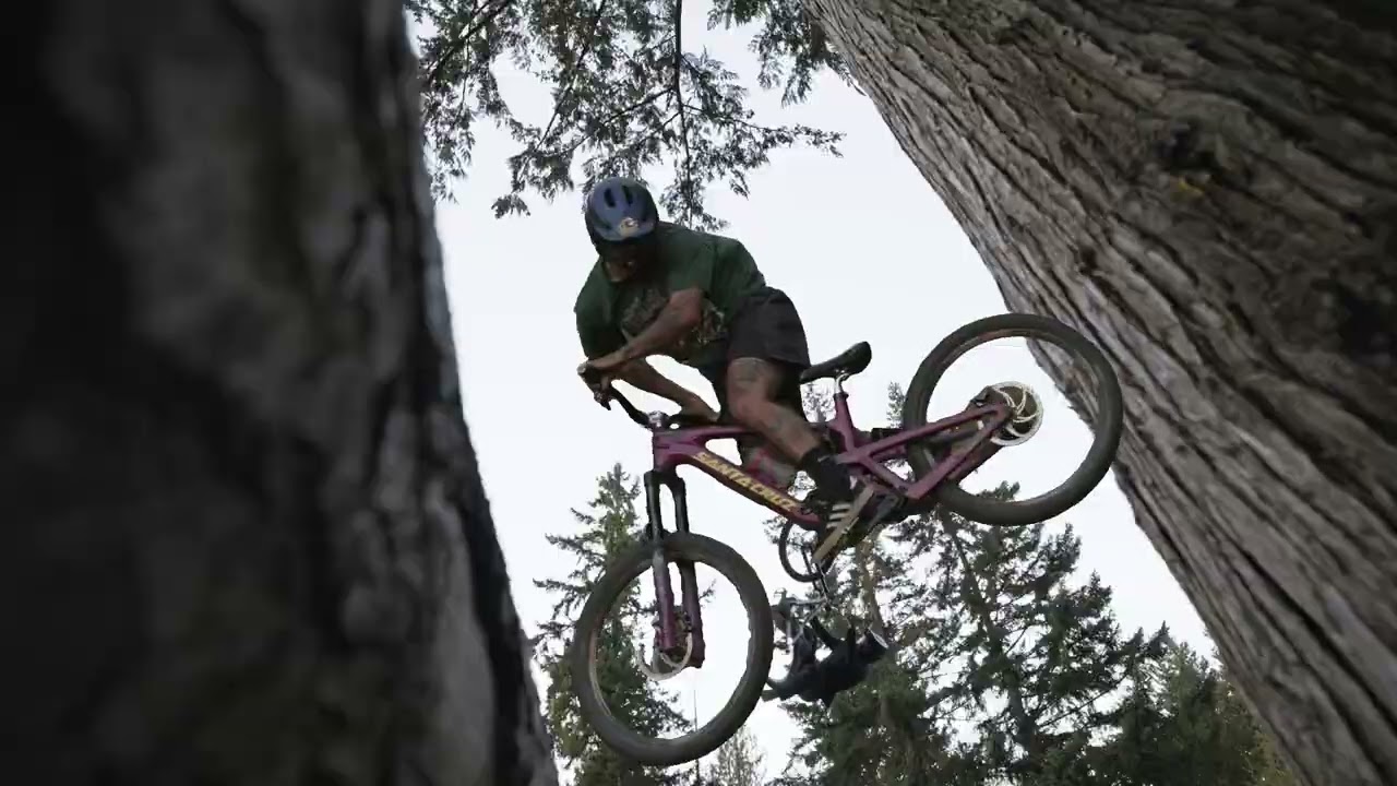 The Backwoods Jam 2025