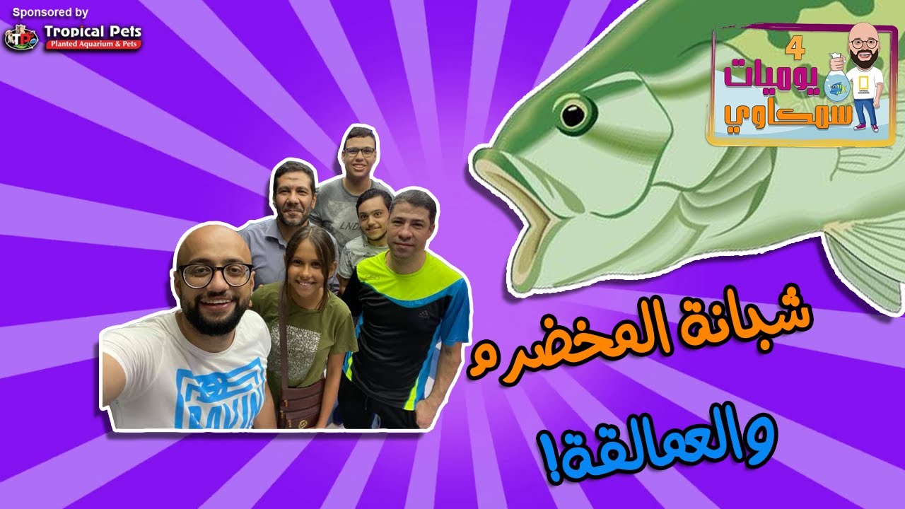 S4E24 -  ! شبانة المخضرم والعمالقة