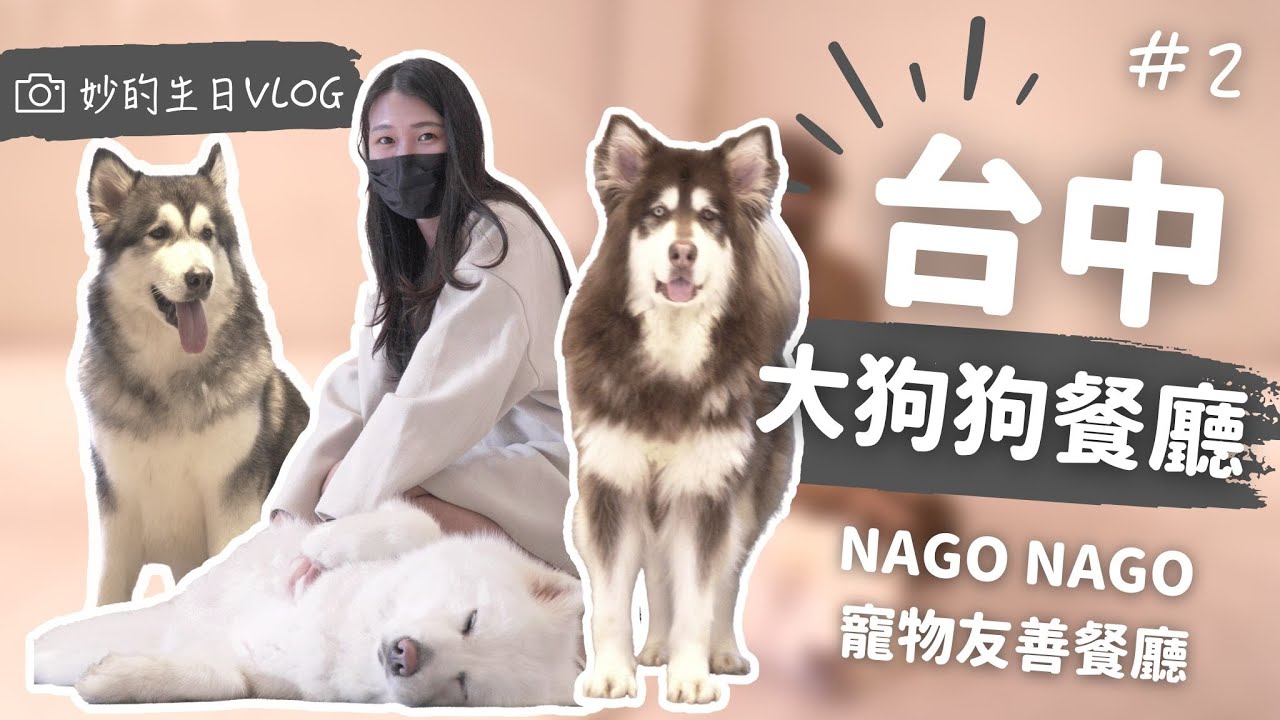 VLOG｜到台中玩大狗狗，強制採訪街貓｜NAGO NAGO寵物友善餐廳