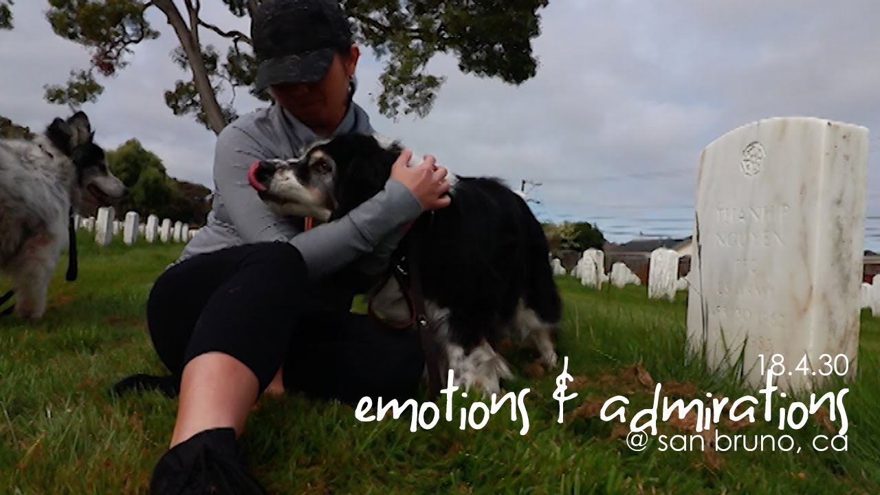 Emotions & Admirations [vlog 18.4.30]