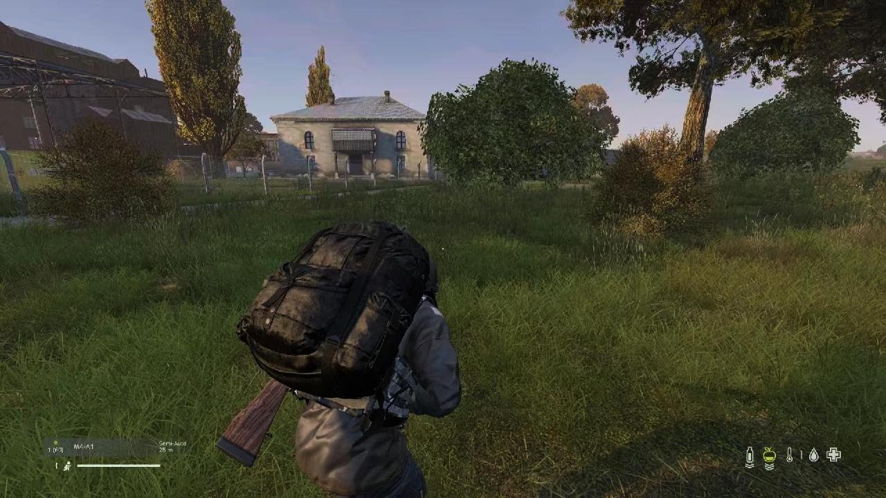 DayZ_20260222070834