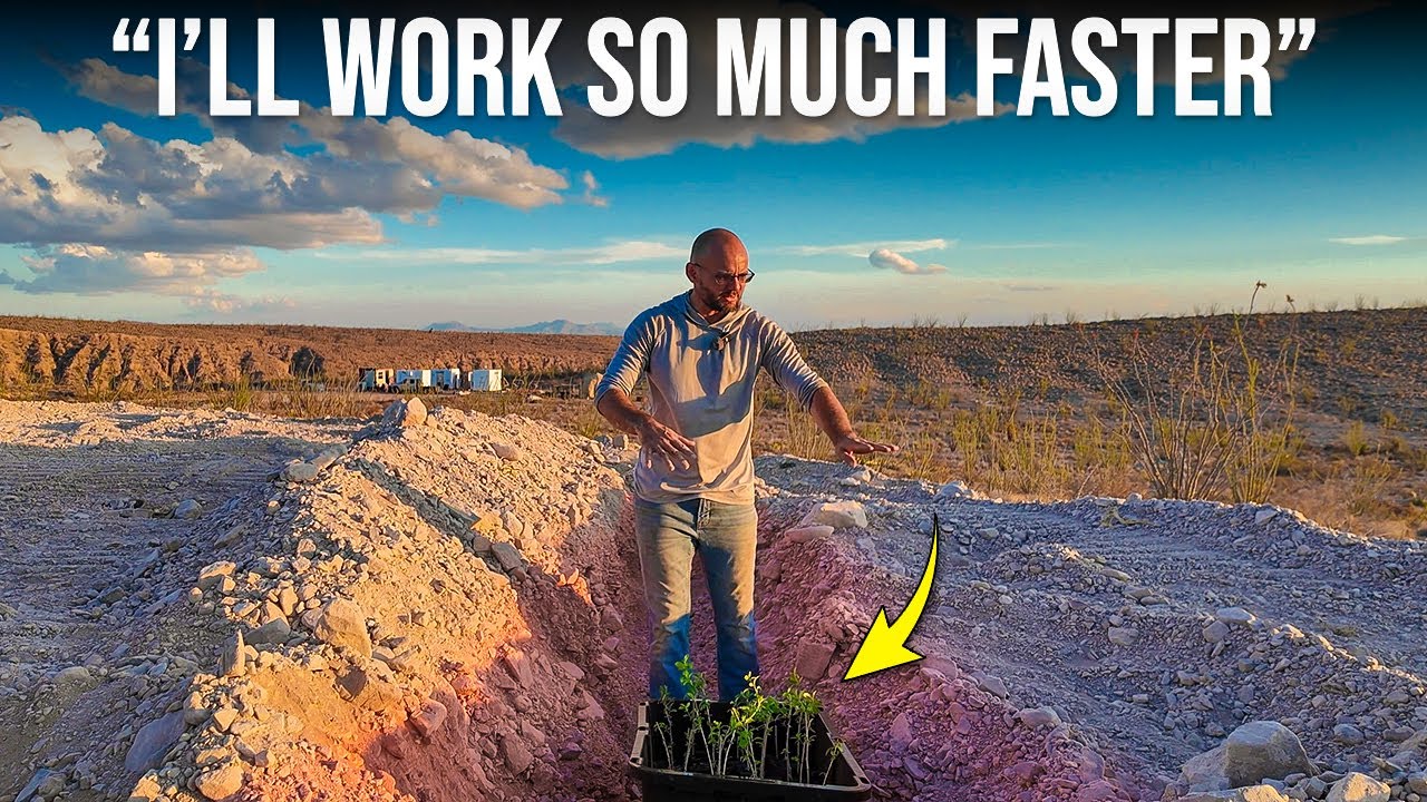 This Approach 10x My Chances to Grow Trees in the Desert
