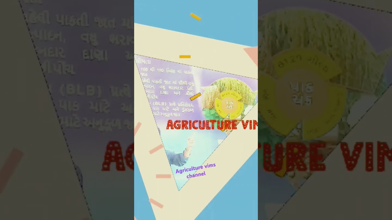 Arize 6129 Gold Bayer #newproducts #paddy #virulshorts #seed #bayercropscience