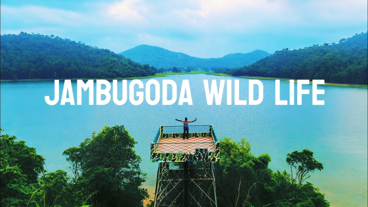 Unseen Jambugoda: The Hidden Gem of Gujarat You Must Visit!&rdquo;🔥🔥