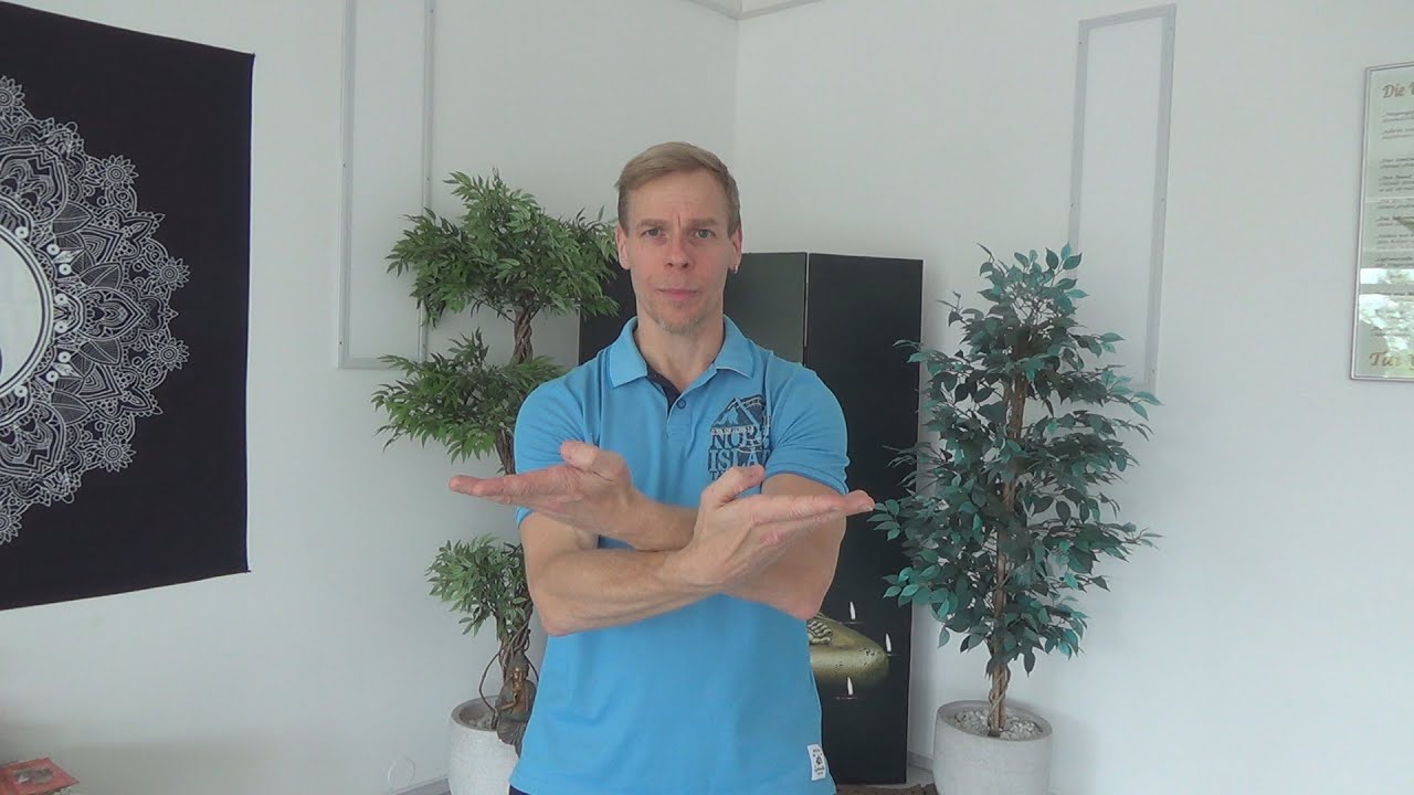 Wing Chun die erste Form, Satz 1