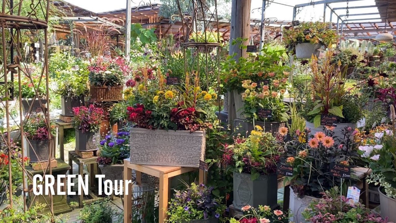 秋のトレンドが一目瞭然！植えていると名前を聞かれる草花ばかり！寄せ植えと高相性リーフも多数な英国風アンティーク雑貨でお洒落なガーデニングショップ | 金久|  観葉植物/園芸店巡り | 大阪/日根野