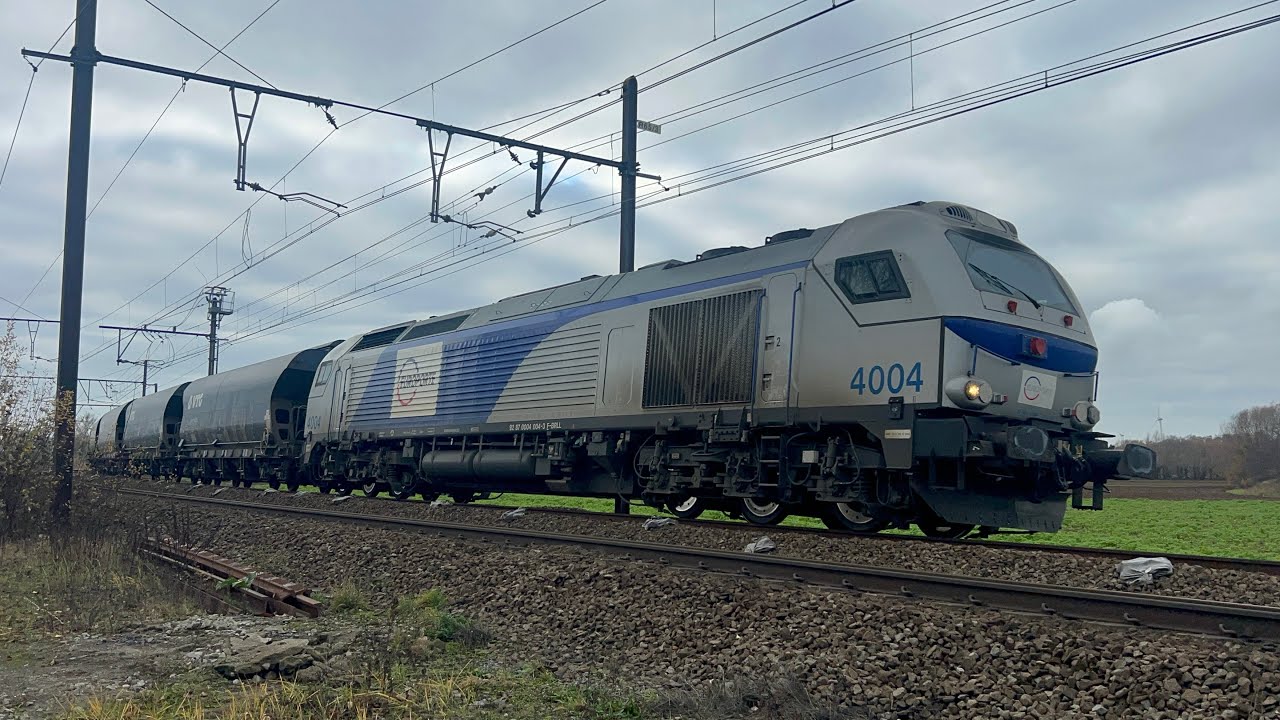 Antwerp noord day 2 and yard footage 