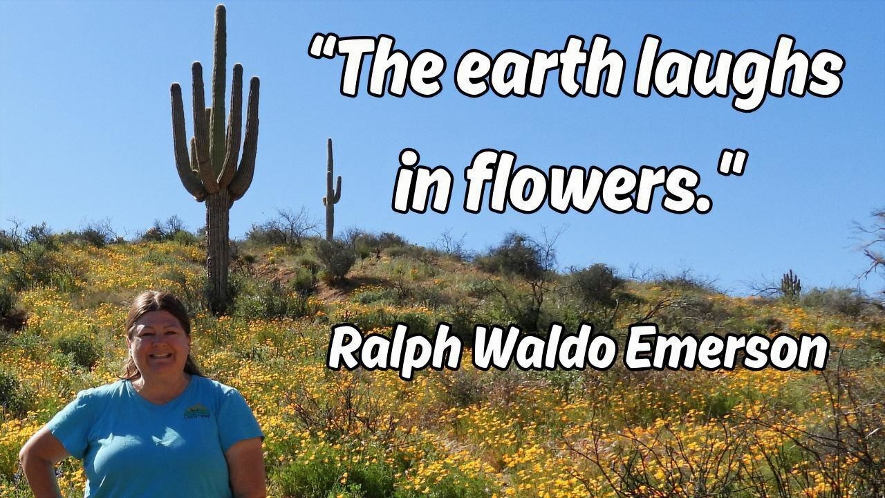 Hiking Bartlett Reservoir & Palo Verde Trail | Tonto National Forest, AZ