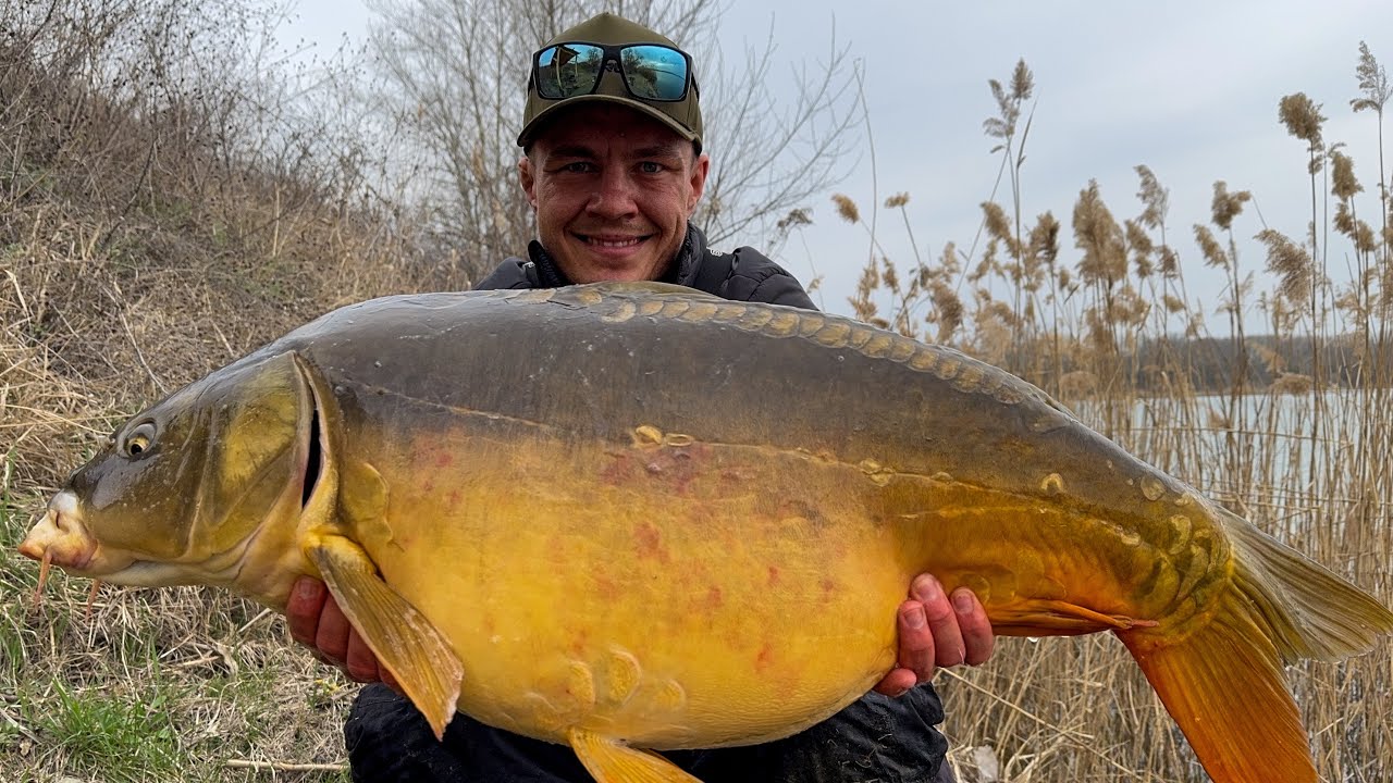 FEEDERMANIA-L&aacute;bas Norbert. Kora tavaszi method horg&aacute;szat a Lupa tavon. Early spring method fishing.