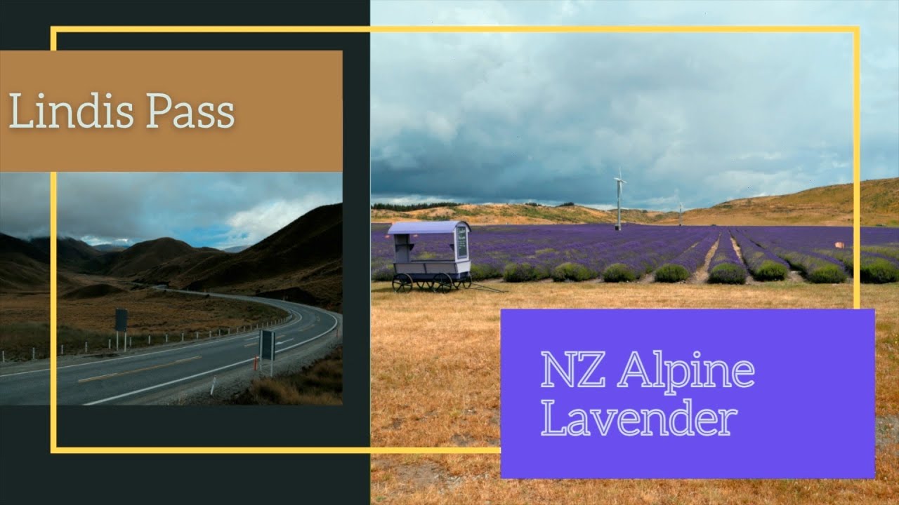 New Zealand South Island - Episode 14 | Mount Cook | NZ Alpine Lavender | Lindis Pass