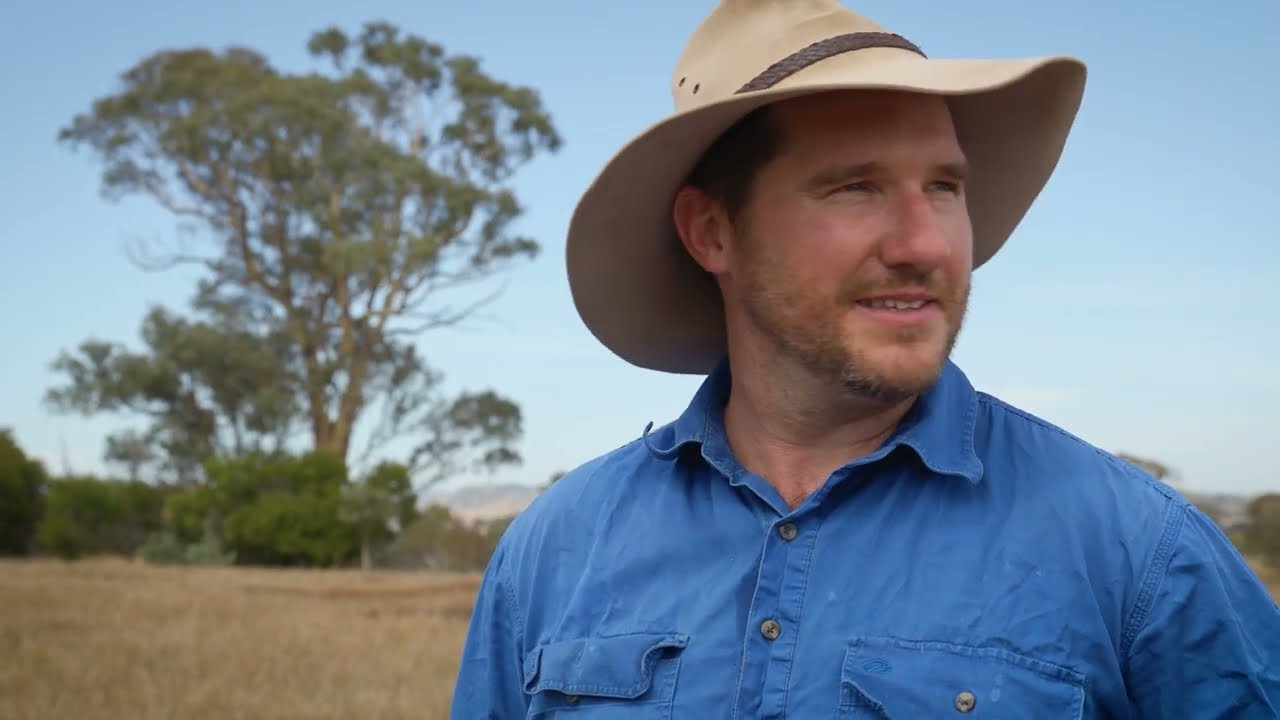 Farming with Ecosystems - Restoring Box Gum Woodlands for Carbon and Grazing Benefits