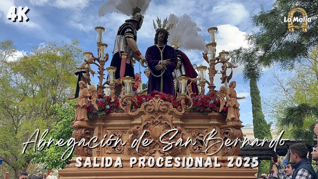 [4K] La espectacular salida de la Abnegación de San Bernardo