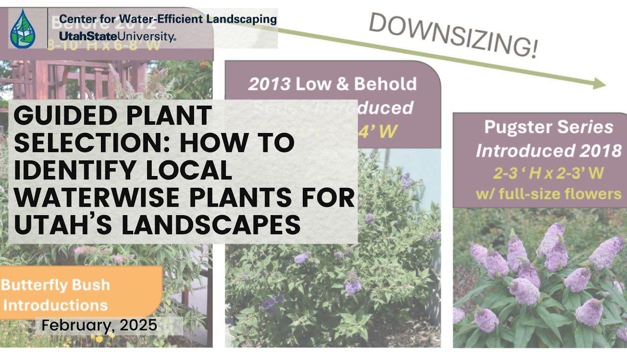 Guided Plant Selection ID Local Water Wise Plants February 2025