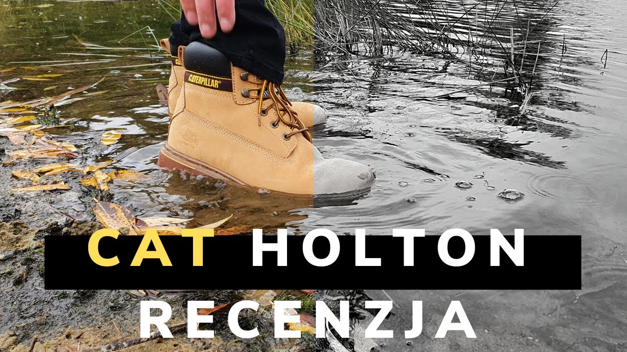 🚧 CAT HOLTON | S3 | SK&Oacute;RA | STALOWY PODNOSEK 🚧
